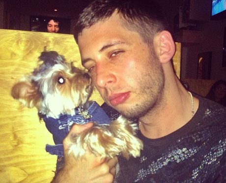 Example with a dog on Instagram